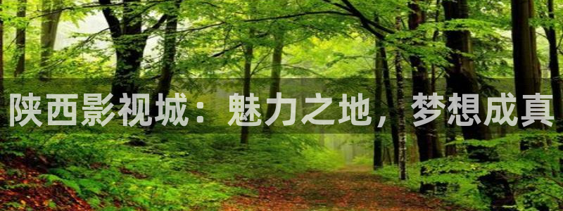 紅桃影院免費觀看電視劇在線觀看：陜西影視城：魅力之地，夢想成真